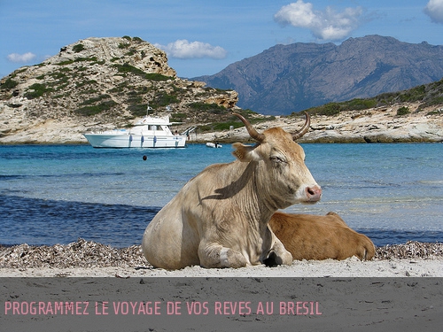 Planifiez le voyage de vos rêves au Brésil