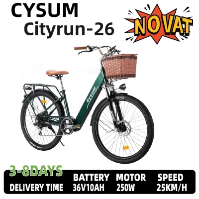 Vélo électrique 250 W batterie 36 V