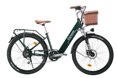 Vélo électrique 250 W batterie 36 V – image 2