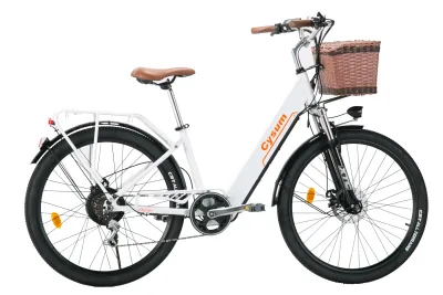 Vélo électrique 250 W batterie 36 V – image 3